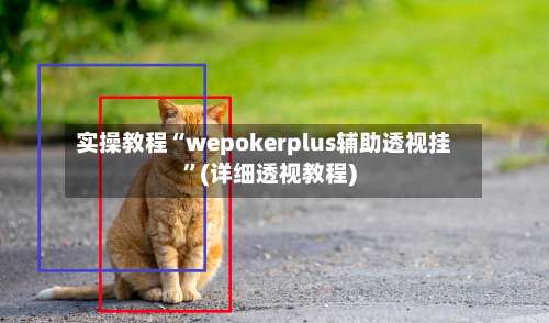 实操教程“wepokerplus辅助透视挂	”(详细透视教程)-第2张图片