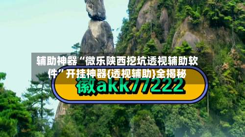 辅助神器“微乐陕西挖坑透视辅助软件”开挂神器{透视辅助}全揭秘-第2张图片