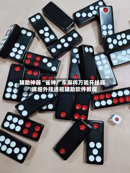 辅助神器“雀神广东麻将万能开挂器”详细外挂透视辅助软件教程-第2张图片