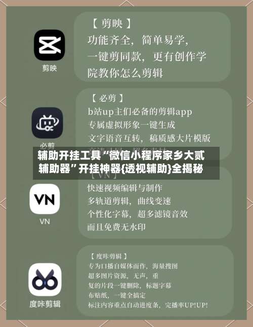 辅助开挂工具“微信小程序家乡大贰辅助器”开挂神器{透视辅助}全揭秘-第2张图片
