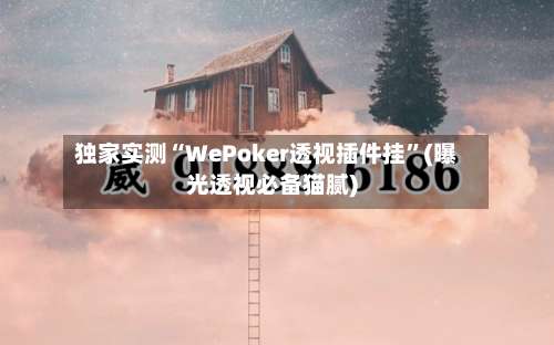 独家实测“WePoker透视插件挂”(曝光透视必备猫腻)-第2张图片