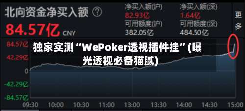 独家实测“WePoker透视插件挂	”(曝光透视必备猫腻)-第1张图片