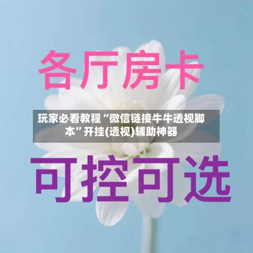 玩家必看教程“微信链接牛牛透视脚本”开挂(透视)辅助神器-第2张图片