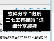 软件分享“微乐二七王有挂吗”详细分享装挂-第3张图片