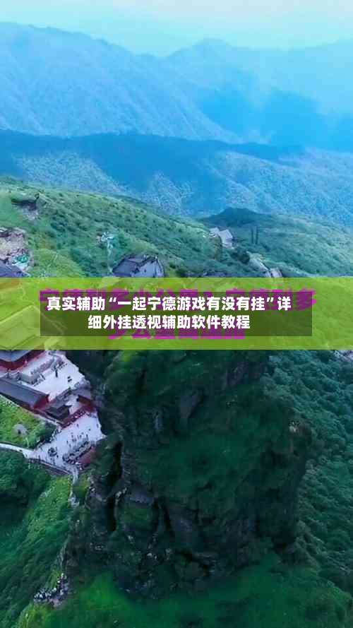 真实辅助“一起宁德游戏有没有挂”详细外挂透视辅助软件教程-第2张图片