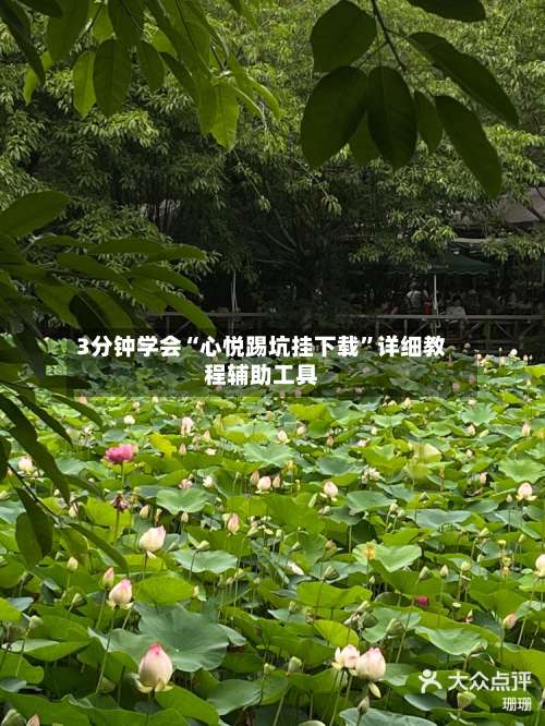 3分钟学会“心悦踢坑挂下载”详细教程辅助工具-第1张图片