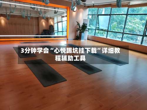 3分钟学会“心悦踢坑挂下载	”详细教程辅助工具-第2张图片