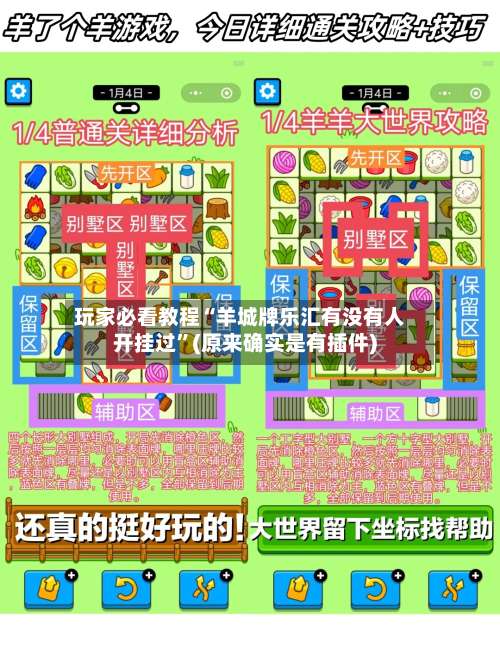 玩家必看教程“羊城牌乐汇有没有人开挂过	”(原来确实是有插件)-第1张图片