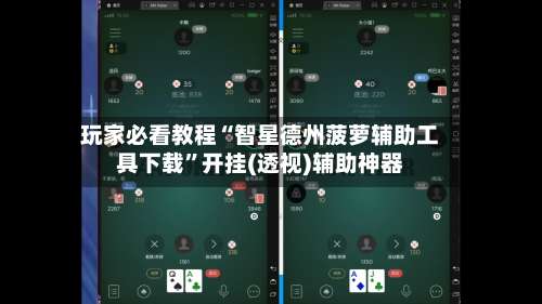 玩家必看教程“智星德州菠萝辅助工具下载	”开挂(透视)辅助神器-第2张图片