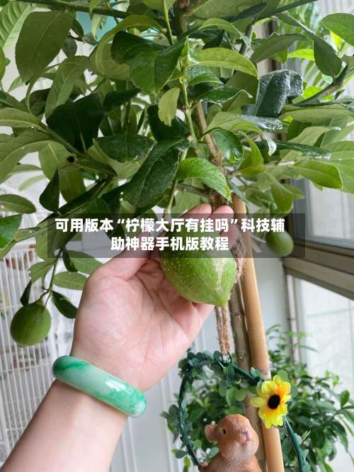 可用版本“柠檬大厅有挂吗	”科技辅助神器手机版教程-第1张图片