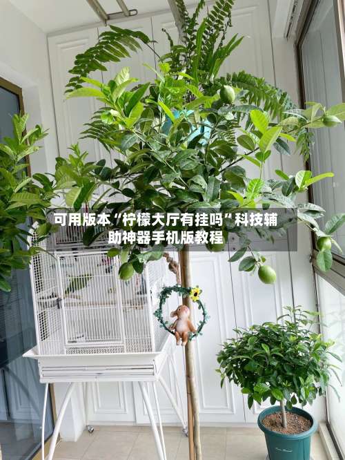 可用版本“柠檬大厅有挂吗”科技辅助神器手机版教程-第2张图片