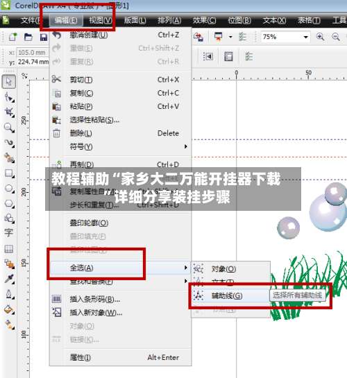 教程辅助“家乡大二万能开挂器下载”详细分享装挂步骤-第2张图片
