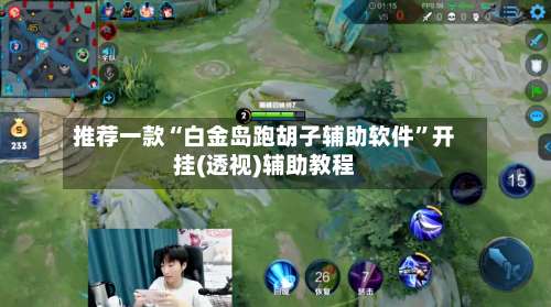 推荐一款“白金岛跑胡子辅助软件”开挂(透视)辅助教程-第2张图片