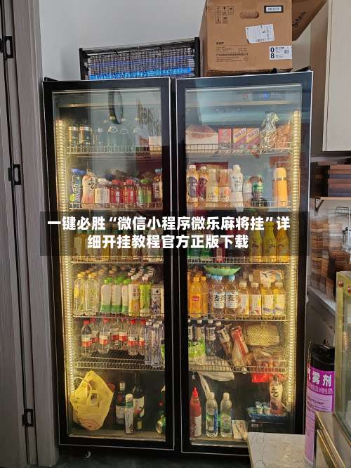 一键必胜“微信小程序微乐麻将挂”详细开挂教程官方正版下载-第3张图片