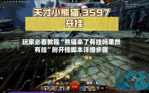 玩家必看教程“熊猫来了有挂吗果然有挂”附开挂脚本详细步骤-第2张图片