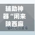 辅助神器“闲来陕西麻将万能开挂神器”通用版下载教程！-第2张图片