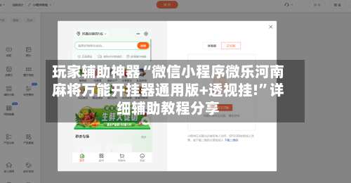 玩家辅助神器“微信小程序微乐河南麻将万能开挂器通用版+透视挂!	”详细辅助教程分享-第1张图片