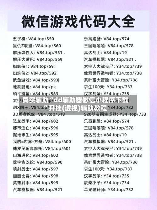 真实辅助“dd辅助器微信小程序下载”开挂(透视)辅助教程-第1张图片