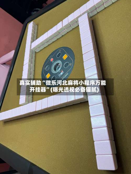 真实辅助“微乐河北麻将小程序万能开挂器”(曝光透视必备猫腻)-第1张图片