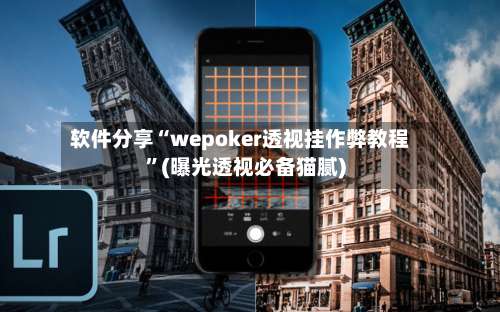 软件分享“wepoker透视挂作弊教程”(曝光透视必备猫腻)-第1张图片