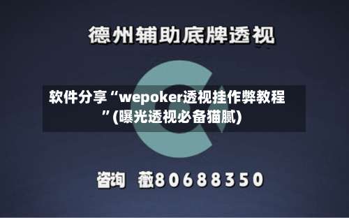 软件分享“wepoker透视挂作弊教程”(曝光透视必备猫腻)-第3张图片