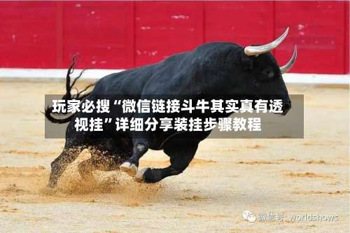 玩家必搜“微信链接斗牛其实真有透视挂”详细分享装挂步骤教程-第2张图片