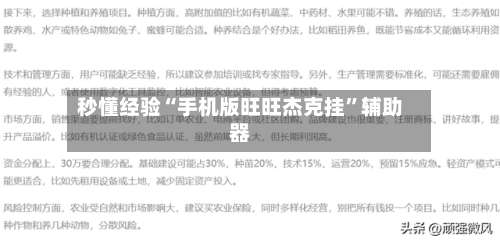 秒懂经验“手机版旺旺杰克挂”辅助器-第1张图片