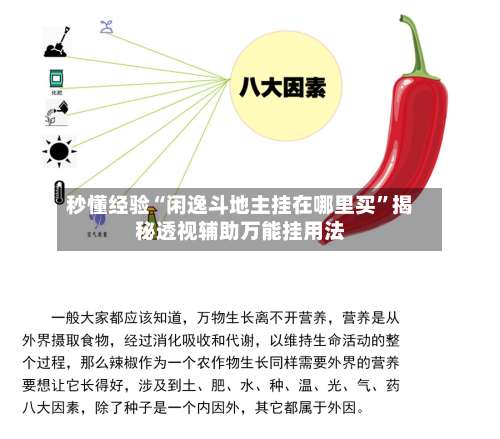 秒懂经验“闲逸斗地主挂在哪里买”揭秘透视辅助万能挂用法-第2张图片