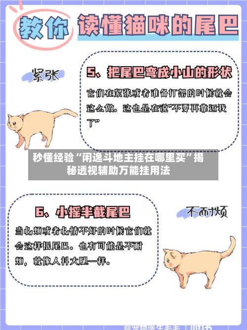 秒懂经验“闲逸斗地主挂在哪里买	”揭秘透视辅助万能挂用法-第1张图片