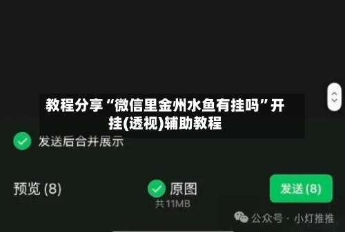 教程分享“微信里金州水鱼有挂吗	”开挂(透视)辅助教程-第1张图片