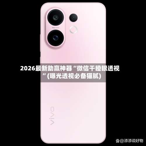 2026最新助赢神器“微信干瞪眼透视”(曝光透视必备猫腻)-第1张图片