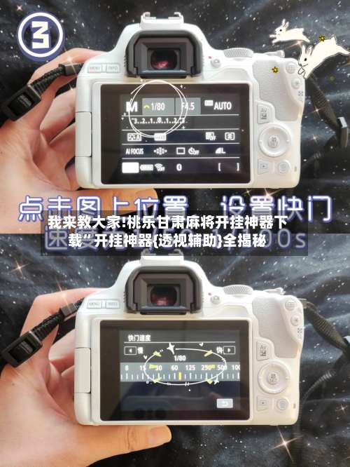 我来教大家!桃乐甘肃麻将开挂神器下载	”开挂神器{透视辅助}全揭秘-第1张图片