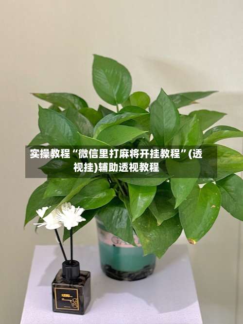 实操教程“微信里打麻将开挂教程”(透视挂)辅助透视教程-第1张图片