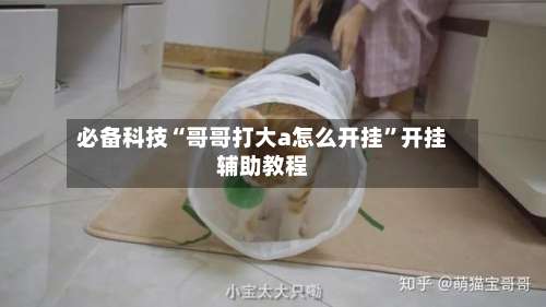 必备科技“哥哥打大a怎么开挂	”开挂辅助教程-第1张图片