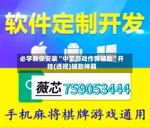 必学教你安装“中至游戏作弊辅助	”开挂(透视)辅助神器-第3张图片