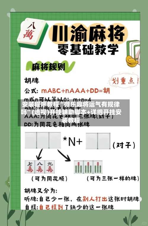 安装程序教程“微乐麻将运气有规律吗”(透视)开挂辅助脚本+详细开挂安装教程-第3张图片