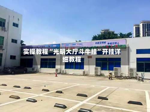 实操教程“光明大厅斗牛挂”开挂详细教程-第2张图片