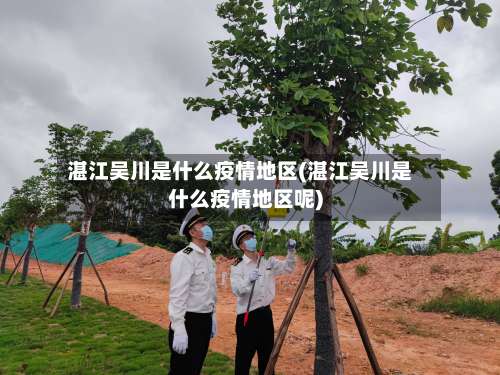湛江吴川是什么疫情地区(湛江吴川是什么疫情地区呢)-第1张图片