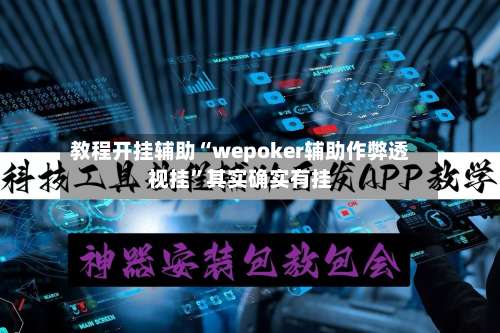 教程开挂辅助“wepoker辅助作弊透视挂”其实确实有挂-第2张图片