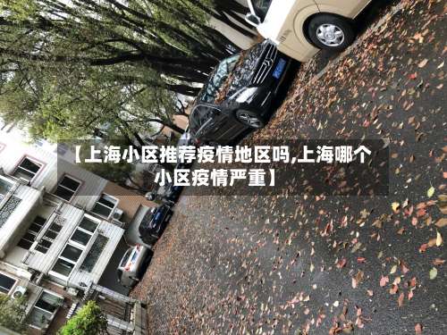 【上海小区推荐疫情地区吗,上海哪个小区疫情严重】-第2张图片