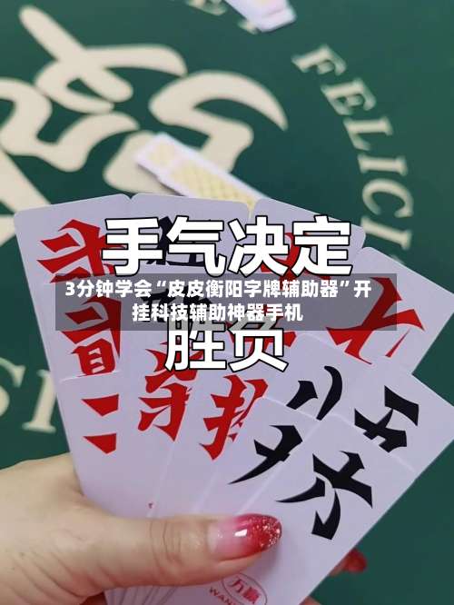 3分钟学会“皮皮衡阳字牌辅助器”开挂科技辅助神器手机-第2张图片