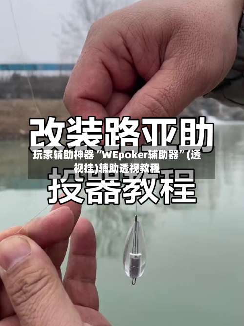 玩家辅助神器“WEpoker辅助器	”(透视挂)辅助透视教程-第2张图片