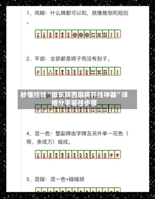 秒懂经验“微乐陕西麻将开挂神器”详细分享装挂步骤-第1张图片