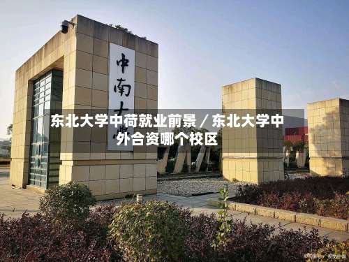 东北大学中荷就业前景／东北大学中外合资哪个校区-第1张图片