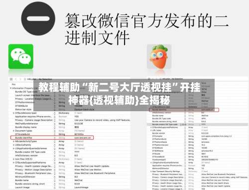 教程辅助“新二号大厅透视挂”开挂神器{透视辅助}全揭秘-第2张图片