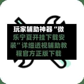 玩家辅助神器“微乐宁夏开挂下载安装”详细透视辅助教程官方正版下载-第3张图片