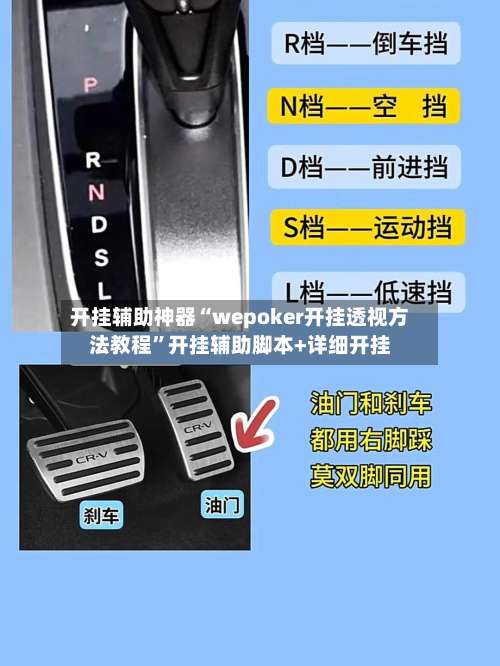 开挂辅助神器“wepoker开挂透视方法教程”开挂辅助脚本+详细开挂-第1张图片