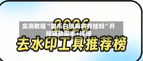 实测教程“胡乐白银麻将有挂吗”开挂辅助脚本+详细-第2张图片