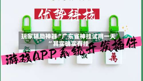 玩家辅助神器“广东雀神挂试用一天”其实确实有挂-第2张图片