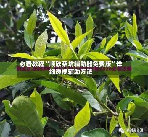 必看教程“顺欣茶坊辅助器免费版	”详细透视辅助方法-第1张图片